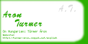 aron turmer business card